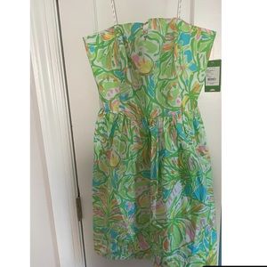 Size 12 - NWT Lilly Pulitzer Dress